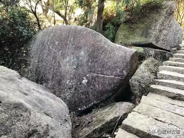 预言唯有玉兔上龙床，千佛万祖保护