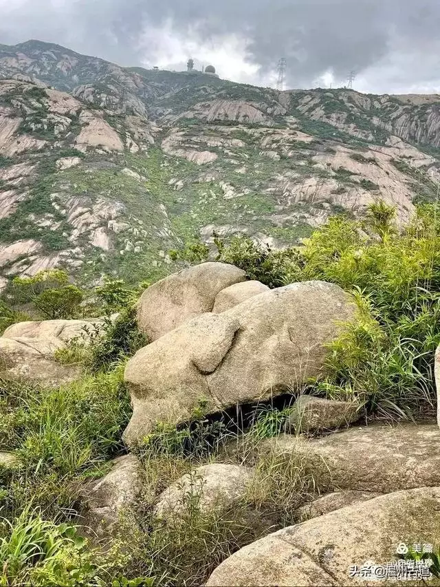 预言唯有玉兔上龙床，千佛万祖保护