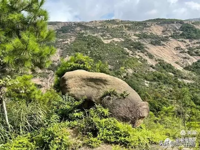 预言唯有玉兔上龙床，千佛万祖保护