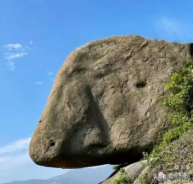 预言唯有玉兔上龙床，千佛万祖保护