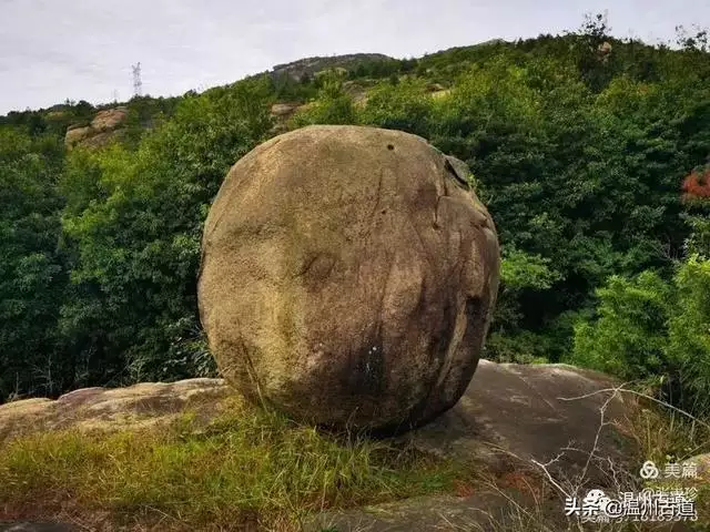 预言唯有玉兔上龙床，千佛万祖保护