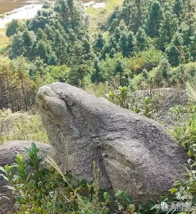 预言唯有玉兔上龙床，千佛万祖保护