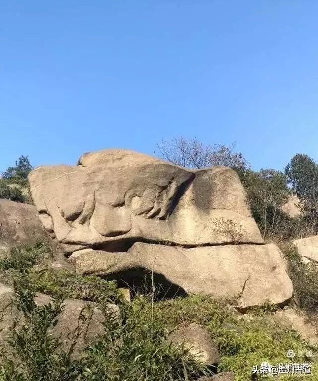 预言唯有玉兔上龙床，千佛万祖保护