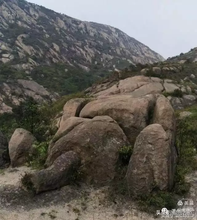 预言唯有玉兔上龙床，千佛万祖保护