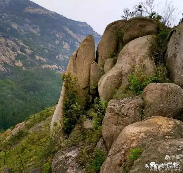 预言唯有玉兔上龙床，千佛万祖保护