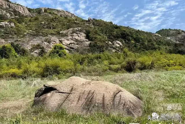 预言唯有玉兔上龙床，千佛万祖保护