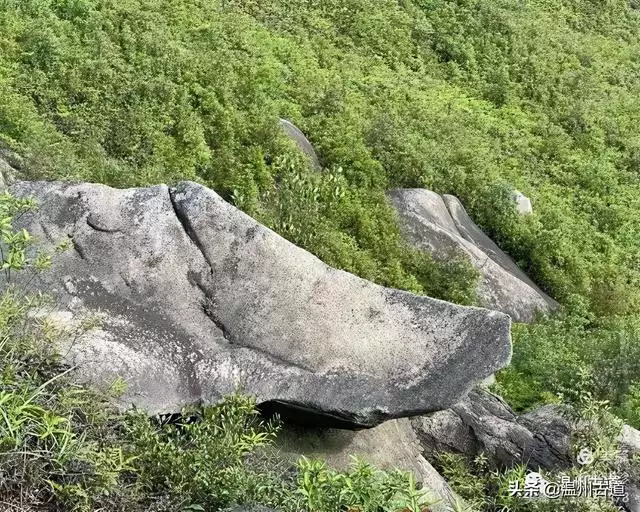 预言唯有玉兔上龙床，千佛万祖保护