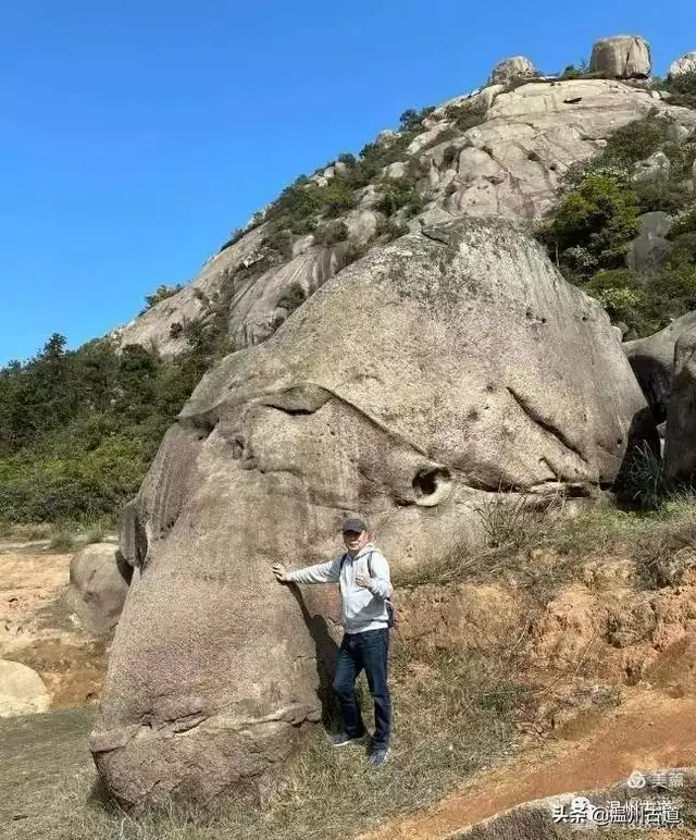 预言唯有玉兔上龙床，千佛万祖保护