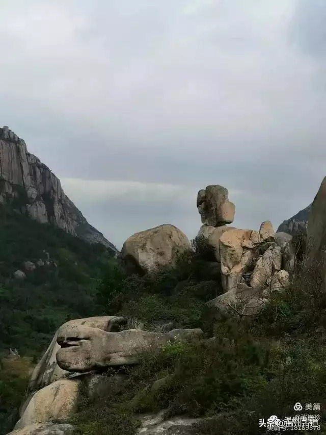 预言唯有玉兔上龙床，千佛万祖保护