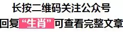 属兔最命苦出生日期75年，属兔人今日运势查询