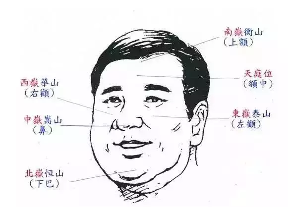 人生运程起伏旺衰图，免费查八字五行旺衰