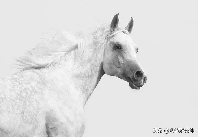 黄历属鼠今天的运气，84年属鼠的今日财运