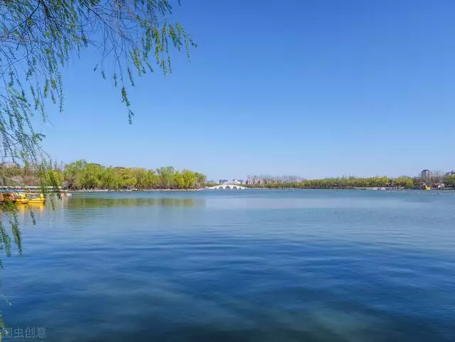 不同月份属鼠的人的，属鼠什么月份出生更好