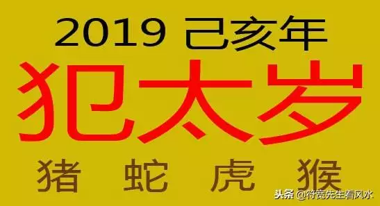 属猪的人犯太岁一览表，属猪人犯太岁年份