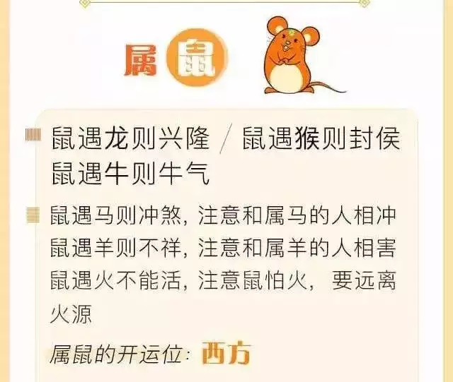 生肖鼠生命中的贵人是什么生肖，属鼠人一生的命运婚姻