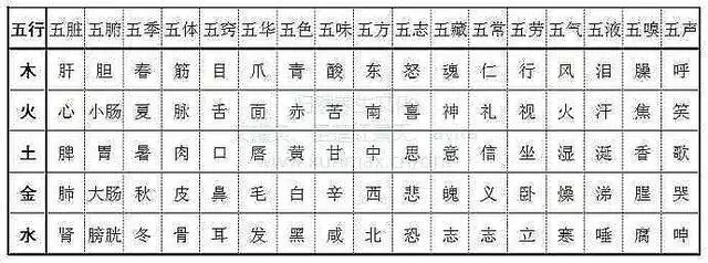 十二地支金木水火土属性，十二地支五行属性方位