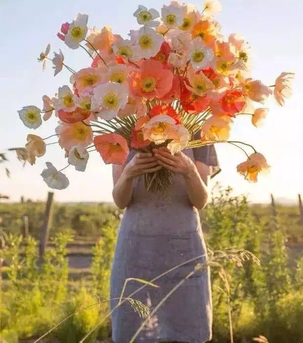 属鼠的本命花是什么花，属鼠的女人戴什么旺财