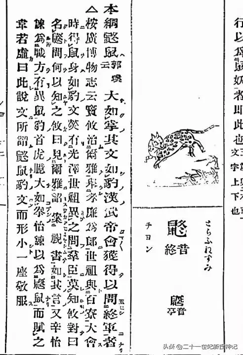 996年火鼠为什么火，1996年属鼠是什么命"