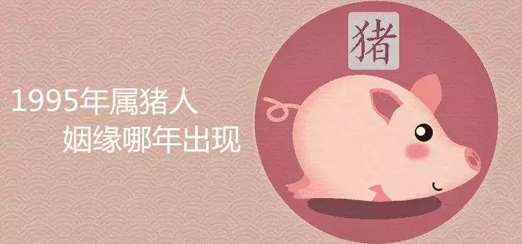 属兔属猪适合做夫妻吗，属猪的能和属兔的人结婚吗