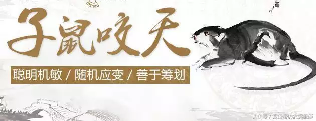 属鼠的在猴年运势如何，属鼠的人2022 年的运势及运程