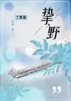 贵人吉祥小说，攻心为上小说