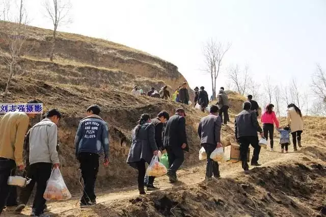 属猪的今年八十几岁，十二生肖猪今年八十几岁