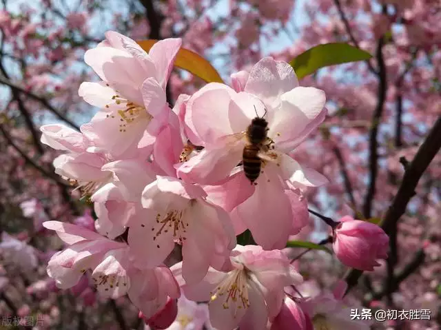 六十岁最美的诗句，六十岁女人打油诗