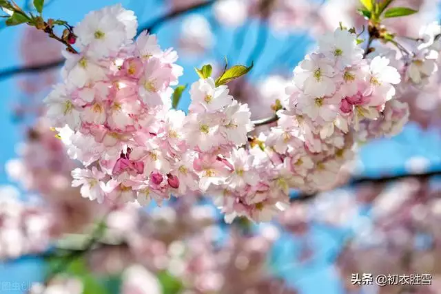 六十岁最美的诗句，六十岁女人打油诗