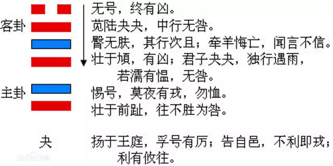 每日运势解读免费下载，小运播报运势天天看下载