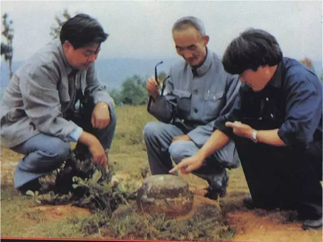 十二相属是怎么来的，十二生肖都是啥命都是