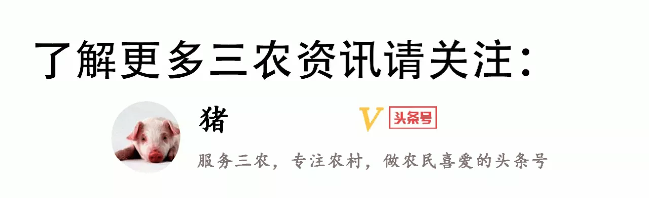 女命孤寡命很不好，孤寡命女的性格