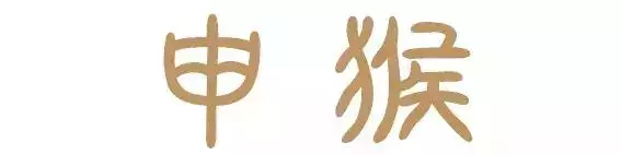 8年属鼠的人长寿吗，1948属鼠人2022年的身体健康"