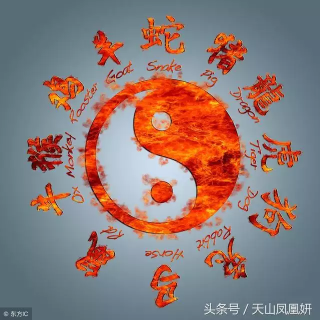 属牛的六个合贵人是什么生肖，牛的三合生肖是什么