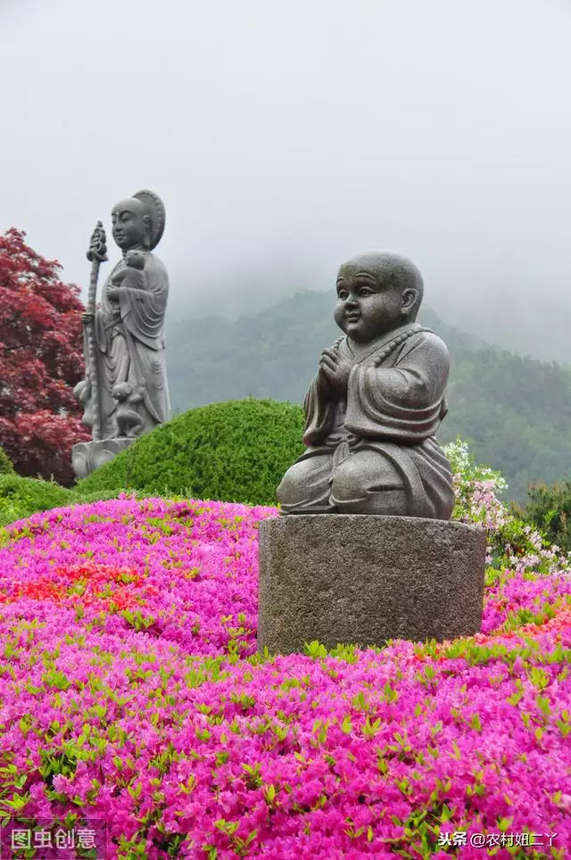 命中有几个孩子查询表免费，免费生辰八字测子女