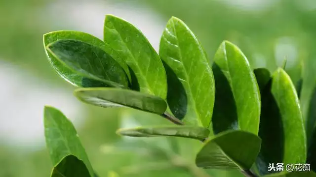 鼠人微信名字两个字带财运的，喜气带财运的微信名字