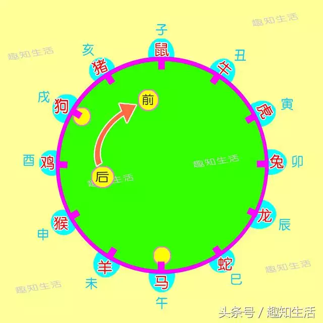 年龄出生日期属相查询，出生年月日属相查询