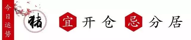 属鼠人今天运气如何，属鼠人2022 年每月运势