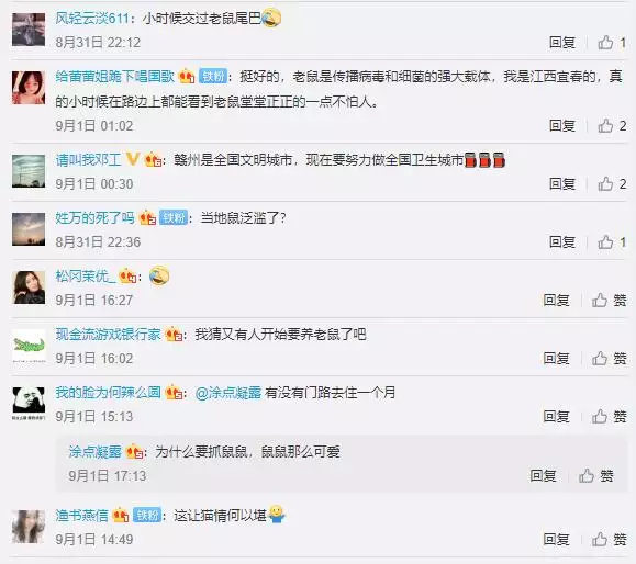 武汉专业灭鼠公司收费标准，专业杀虫公司多少钱一次