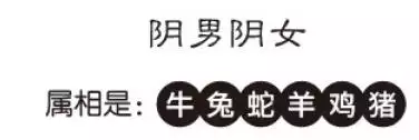 八字大运免费分析，八字命盘解析