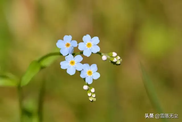 性格脾气大暴躁的女人命运，性格脾气不好的女人