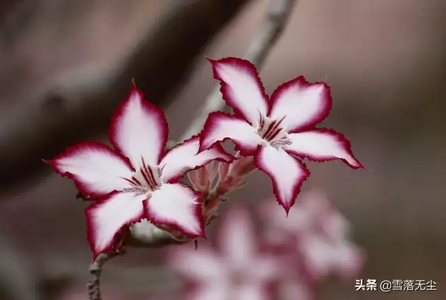 性格脾气大暴躁的女人命运，性格脾气不好的女人