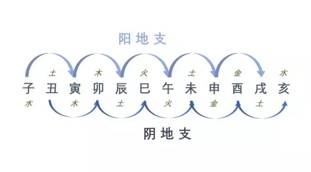 寅在地支中五行属什么，寅属于五行属什么木