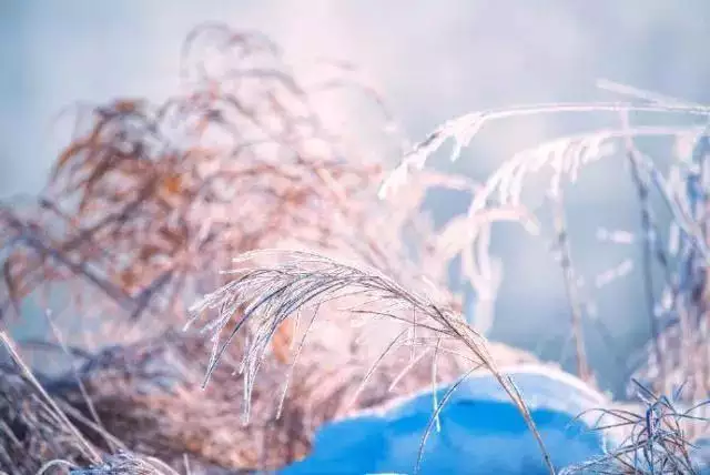 一个算命先生的忠告，算命不给三种人算命