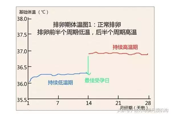 想要生女儿应该怎样备孕，想要个女儿怎么备孕