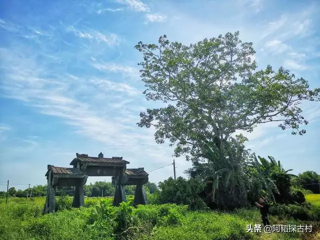 清朝乾隆庚辰年是哪一年，戊子月是几月