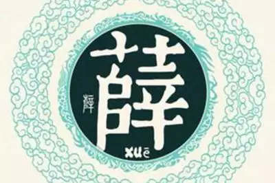 薛姓男宝宝名字大全，2022 年男宝宝名字排行榜