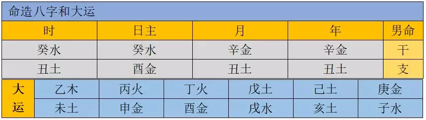 辛巳月五行属什么，辛巳月属什么生肖