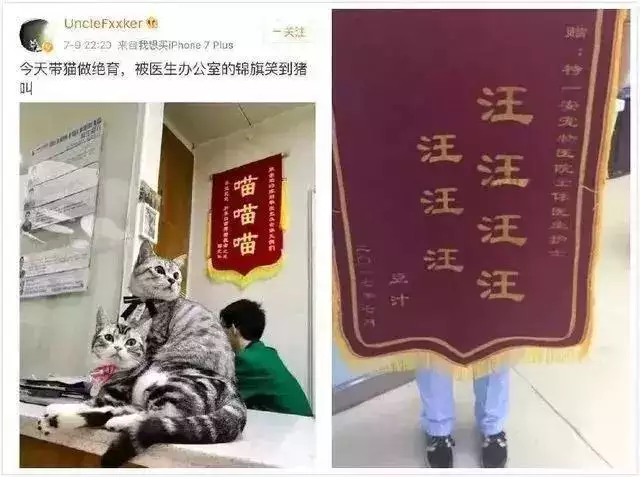 994年九月出生的狗命好吗，94属狗一生大劫年"