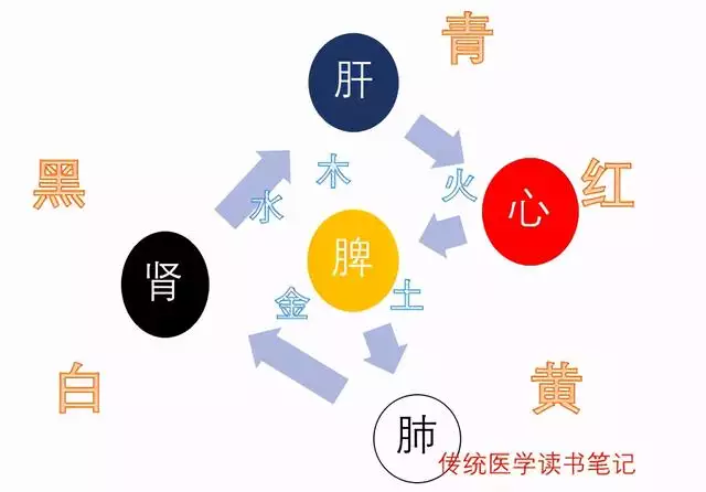 如何看自己的五行，如何看自己五行属什么