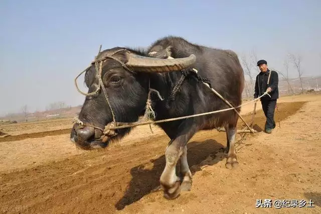 流年辛丑运是什么意思，三元九运是什么意思